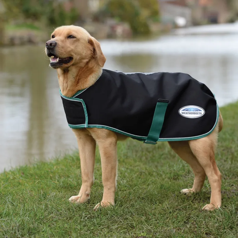 Weatherbeeta Green-Tec 900D Dog Coat Lite Plus Black-BottleGreen